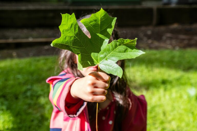 Symbolfoto Nachhaltigkeit Umweltschutz Klimaschutz